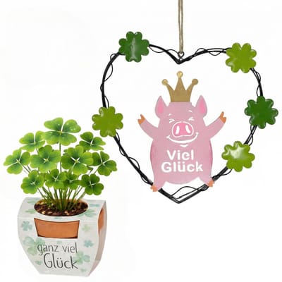 Dailygoods- Geluksset met Varkentjeshanger - Geluksbrenger - Aardewerk - Hangdecoratie - Geluk cadeau - Persoonlijk gebaar - Gelukscadeau
