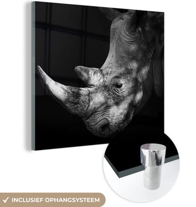 MuchoWow® Glasschilderij 50x50 cm - Schilderij acrylglas - Neushoorn - Dier - Licht - Foto op glas - Schilderijen