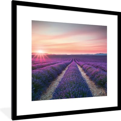 Fotolijst incl. Poster - Lavendel - Paars - Bloemen - 40x40 cm - Posterlijst