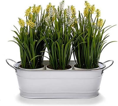 Arte r Plantenpot/bloempot teil- zink - wit - L32,5 x D10,5 x H11 cm