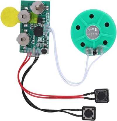 Geluidsmodule - Spraakopname chip - Wenskaarten maken - 4 minuten opname - 10 x 5 cm - Groen