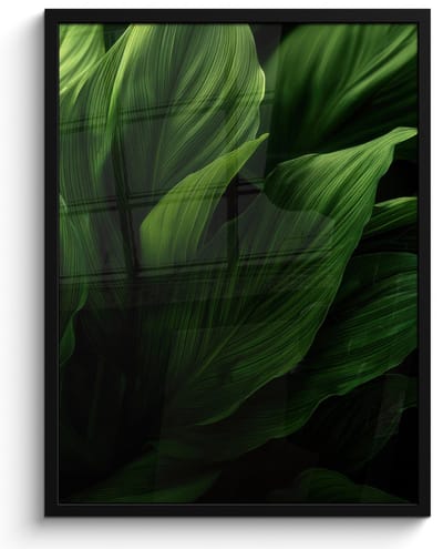 Poster in lijst - Fotolijst 60x80 cm - Posters - Bladeren - Schaduw - Groen - Textuur - Posterlijst zwart - Decoratie - Wanddecoratie woonkamer - Muurdecoratie slaapkamer