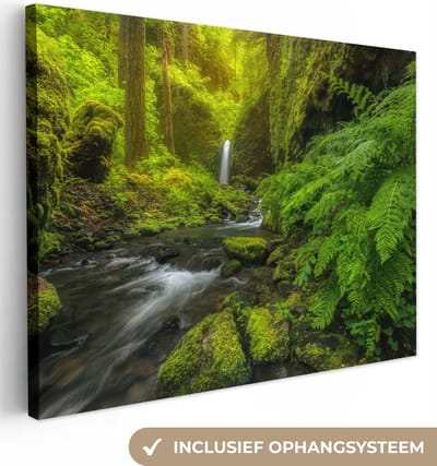 Canvas Schilderij Prachtig plaatje jungle - 40x30 cm - Wanddecoratie