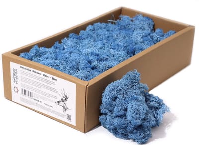 Rendiermos - blauw - Mos decoratie - Interieuraccessoire - Huisdecoratie - Natuurlijke decoratie - Ornamenten