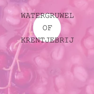 Watergruwel Of Krentjebrij - Jan Timmer