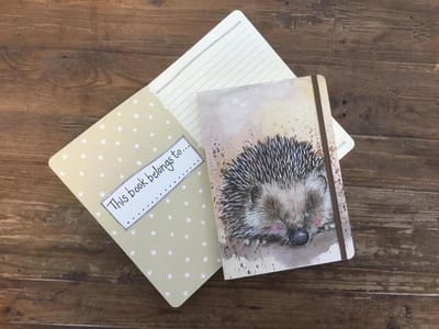 Alex Clark Large Chunky Notebook Harriet ~ A5 Softcover Notitieboek Egel