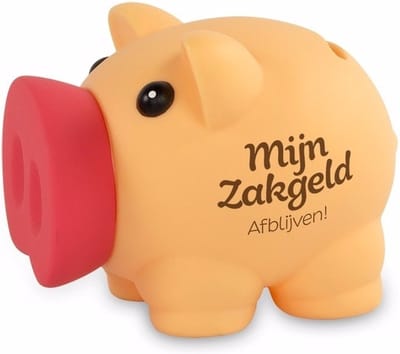 Miko Cadeau spaarpot/Spaarvarken - Mijn zakgeld afblijven - 10 cm - Kinderen - Origineel