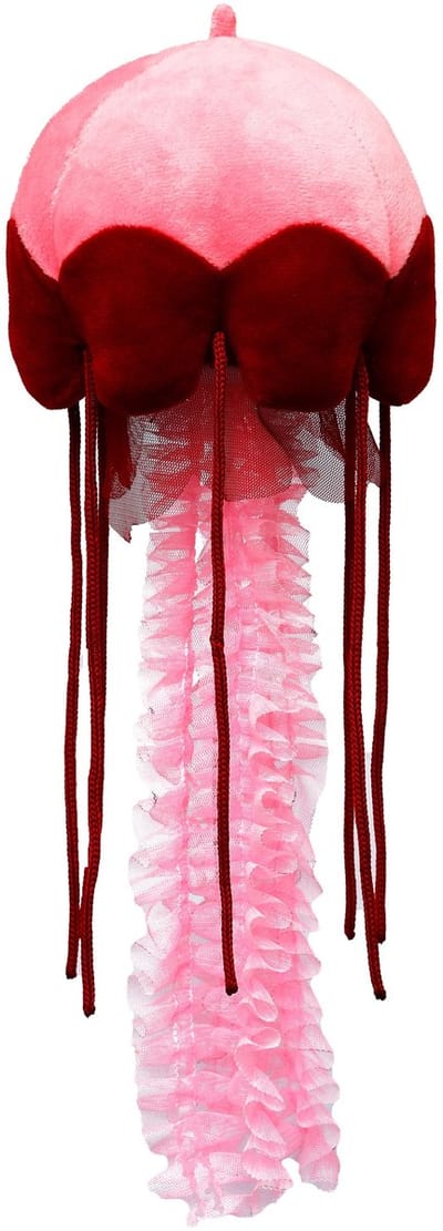 Wild Planet Kwal Knuffel - 50 cm - roze - oceaan knuffeldier
