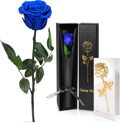 Eeuwige Roos in Glazen Stolp - Cadeau voor Vrouwen, Jubileum, Moederdag en Valentijnsdag