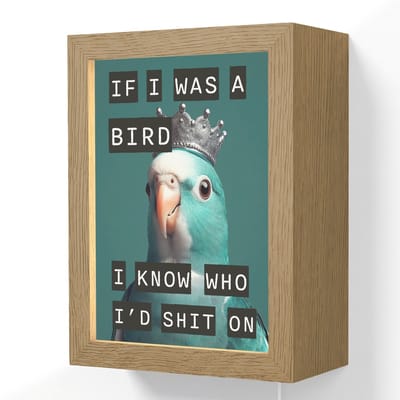 Wandlamp 15x20 cm - Oplaadbaar - Parkiet - Turquoise - Quotes - Decoratie - Wandlampen binnen woonkamer - Slaapkamer lamp met kabel - Decoratieve nachtlamp - Vloerlamp snoer