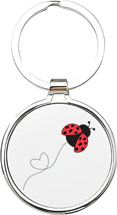 Akyol - Lieveheersbeestje Sleutelhanger - lieveheersbeestje - Dierenliefhebbers - Insecten - kever - keverbeestje - dieren - geluksbrenger - coccinellid - cadeau voor dierenliefhebbers - insect - kapoentje - 4 x 7,5 CM