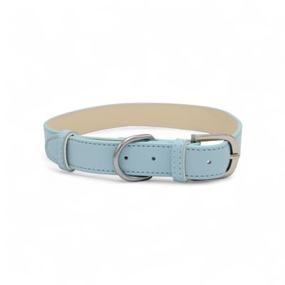 Dog's Companion Leren Halsband Hond - PU leren hondenhalsband - Lengte: 55 cm Verstelbaar van 37,5-47,5 cm x 25 mm - Blauw