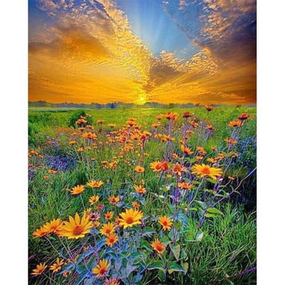 Volledig Rond 5D Doe-het-zelf Diamantschilderij Zonsondergang Landschap Afbeelding van Strass Steentjes Diamant Borduurwerk 20X30CM orange