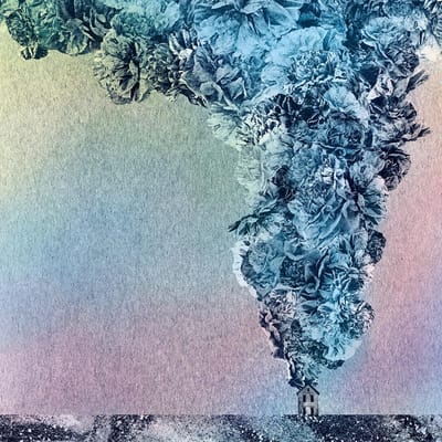 Daughn Gibson - Carnation (LP)