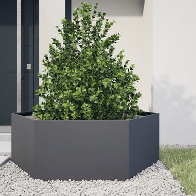 vidaXL - Plantenbak - zeshoek - 138x120x45 - cm - staal - antracietkleurig