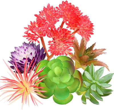 Dailygoods- Vetplanten Mini - 6 Stuks Kunstmatige Planten - Nepplanten voor Binnen - Kantoordecoratie - Doe-het-zelf Knutselen - Realistische Kleuren