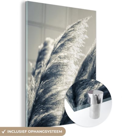 MuchoWow® Glasschilderij 30x40 cm - Schilderij acrylglas - Pampasgras - Zwart - Wit - Natuur - Foto op glas - Schilderijen