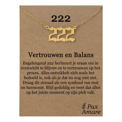 222 Getal Ketting op Cadeau Kaartje - Goudkleurig - Stainless Steel Spirituele Hanger - 45cm + 5cm verstelbaar - Pax Amare