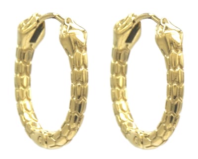 Oorbellen Snake - Oorringen - RVS - 2.2 cm - Goudkleurig
