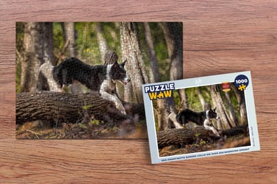 Puzzel Een zwart-witte border collie die over een boomstam springt - Legpuzzel - Puzzel 1000 stukjes volwassenen