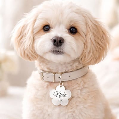 Hondenpenning Bloem | Zilver | Huisdierpenning Bloem | Bloemenpenning voor honden | RVS Bloem inclusief graveren | Petshop Seven