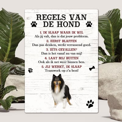 Spreuken - Schotse Herdershond - Regels Van De Hond - Spreuken Bordjes - Spreukenbord - Tekstborden - Cadeau - Hondenras