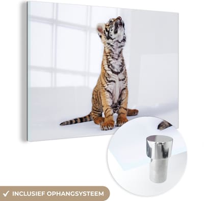 MuchoWow® Glasschilderij 60x40 cm - Schilderij acrylglas - Tijger - Welp - Wit - Foto op glas - Schilderijen