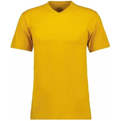 Ragman T-Shirt Uni V-Neck Single Jersey Maisgeel / male
