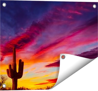 Gards Tuinposter Cactus bij Oranje Zonsondergang - 50x40 cm - Tuindoek - Tuindecoratie - Wanddecoratie buiten - Tuinschilderij