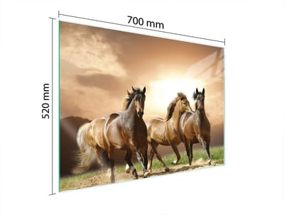 TMK ArtDeko - Serie - Glazen Beschermplaat Voor Fornuis - 70x52 cm - Harde Glas Bescherming