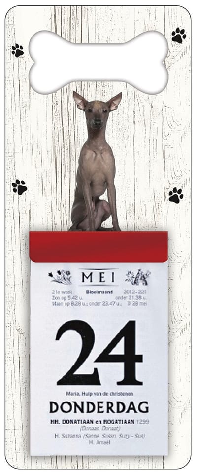 Scheurkalender 2027 Hond: Peruaanse Naakthond