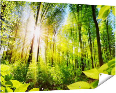Gards Tuinposter Weg Omringd met Bomen in het Bos - 150x100 cm - Tuindoek - Tuindecoratie - Wanddecoratie buiten - Tuinschilderij