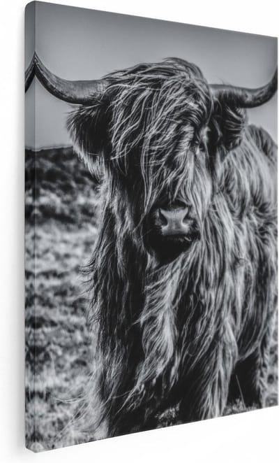 Artaza Canvas Schilderij Hooglander - 30x40 cm - Klein - Schilderijen Dieren - Muurdecoratie Woonkamer - Schilderijen Op Canvas