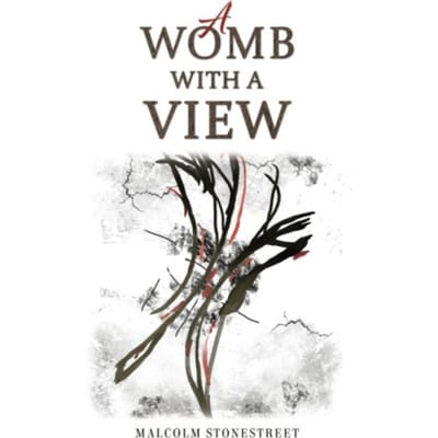 A Womb With A View - Malcolm Stonestreet