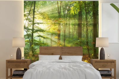 Behang - Fotobehang Zon - Bos - Bomen - Natuur - Herfst - Breedte 300 cm x hoogte 300 cm