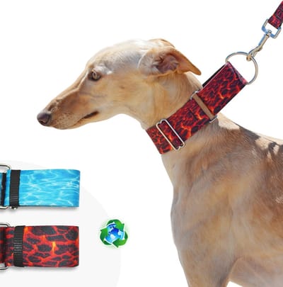 Hondenhalsband van Gerecycled Polyester - Martingale Halsband voor Windhonden en Grote Honden (XL)