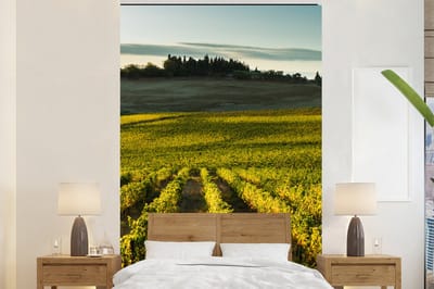 Behang - Fotobehang Toscane - Landschap - Wijn - Breedte 180 cm x hoogte 280 cm