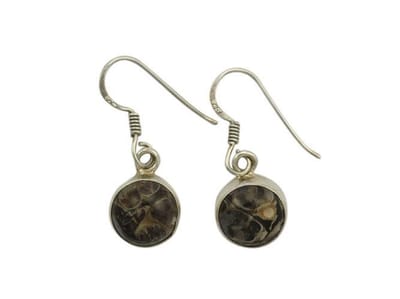 Zilveren oorbellen Turtella Agaat 925 zilver (incl. oorbelstoppers)