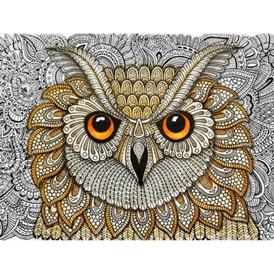 Diamant schilderij uil diamant borduurwerk volledige set dierlijke strass foto's Craft Kit 20X30CM gray