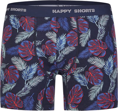 Happy Shorts Retro Boxer Classic