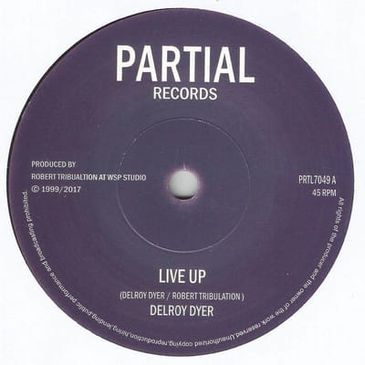 Delroy Dyer - Live Up (7" Single)
