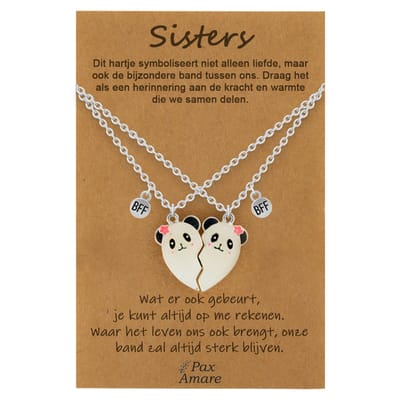 BFF Ketting voor 2 'Sisters' - Magnetisch Hartje Panda's - Vriendschapsketting op Cadeau Kaartje - 45cm + 5cm verstelbaar - Zilverkleurig - Best Friends Hanger - Pax Amare