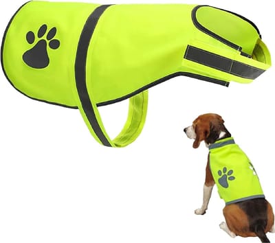 Daity Reflecterend hondenvest – Vest voor zichtbaarheid in het donker – Veiligheidsvest voor honden – Goed zichtbaar veiligheidstuig – Beschermt uw huisdier tegen voertuigen en jachtongelukken – Maat M – 40 x 60 cm