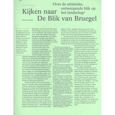 Kijken Naar De Blik Van Bruegel - Stefan Devoldere