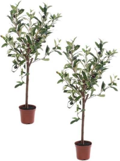 Kunstplant Groene Olijfboom 65 cm in Pot - 2x - Kunstboom voor Binnen