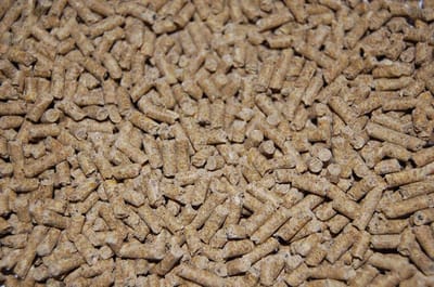 Van Gorp Pluimveekorrel 20 kg