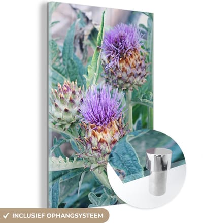 ® Glasschilderij 120x180 cm - Schilderij acrylglas - Twee paarse kardoenen in de natuur - Foto op glas - Muurdecoratie woonkamer - Wanddecoratie slaapkamer - Schilderijen