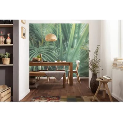 Komar Fotobehang Foggy Fern - Groen - 2,50m X 400cm