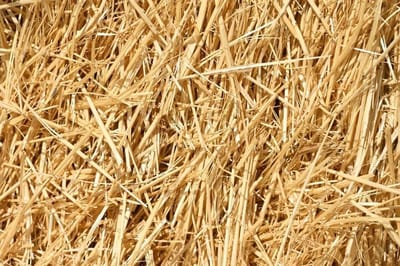 Tarwestro Baaltjes - Natuurlijk Stro - Dierenverblijf Inrichten - 100% Natuurlijk - 05 kg - Geel