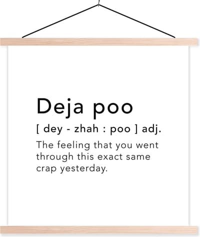Posterhanger incl. Poster 40x40 cm - Schoolplaat - Spreuken - Quotes - The feeling that you went through this exact same crap yesterday - Woordenboek - Textielposter - Blanke latten